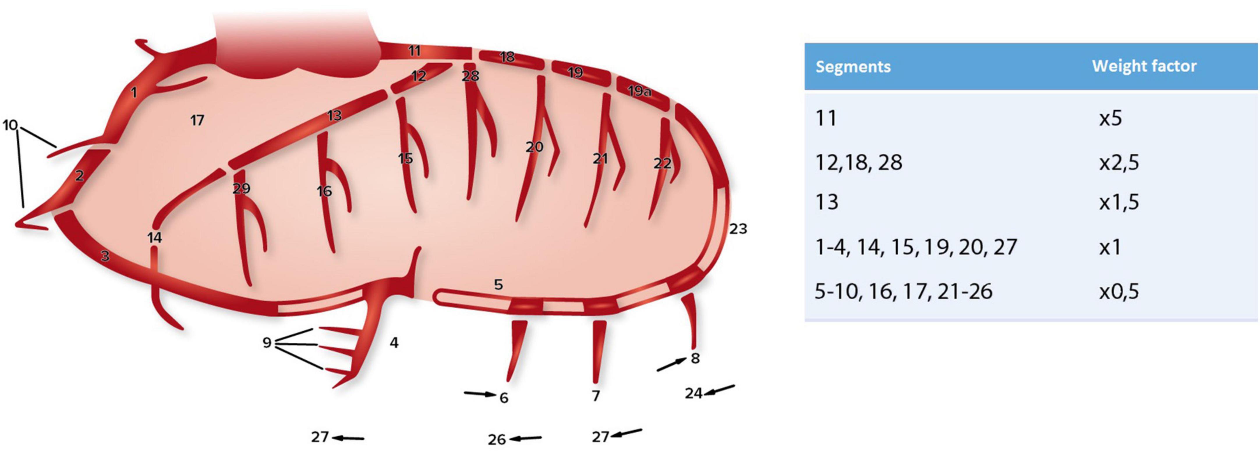 Risk for acquired coronary artery disease in genetic vs. congenital thoracic aortopathy